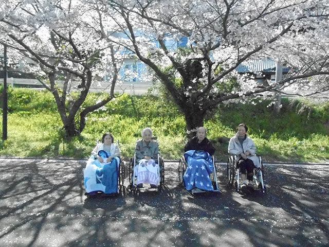 花見ドライブ