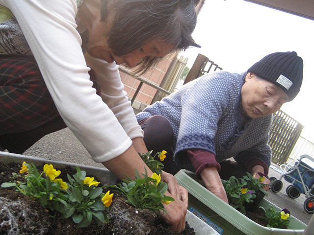 花植え